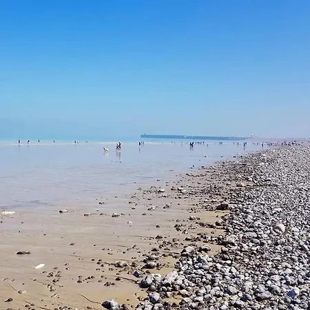 La Petite Dieppoise 3 Etoiles Meuble De Tourisme Entre Plage Et Port Dieppe Exterior photo